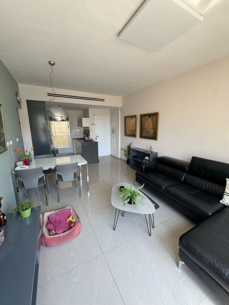 Living room with black leather sofa and dining table