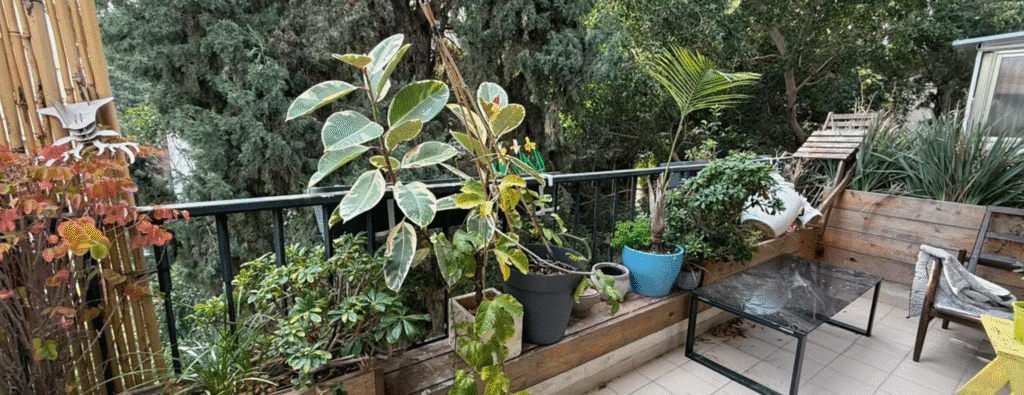 Lush sun balcony surrounded by greenery in Tel Aviv apartment